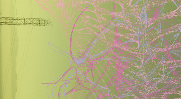 charles long detail of drawing