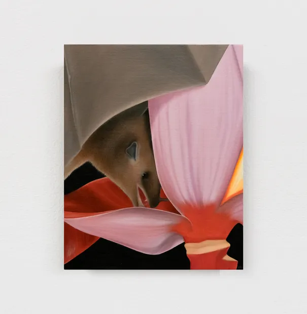 Rodrigo Hernández's painting.