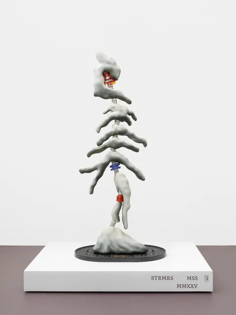 Magali Reus's sculpture image.