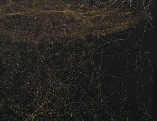 “It is in that golden stain of time that we are to look for the real light” —John Ruskin, The...