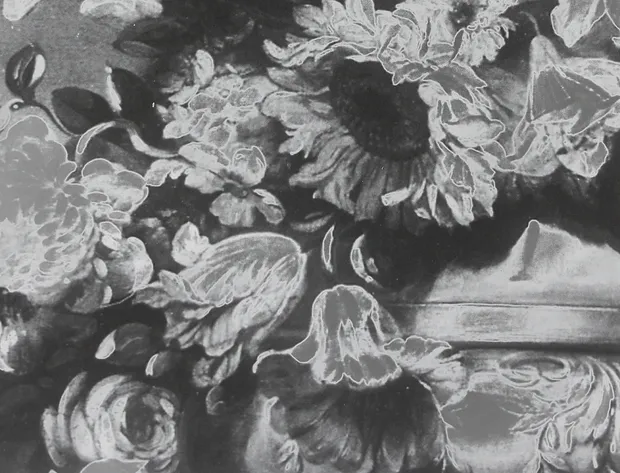 detail of lisa oppenheim photograph