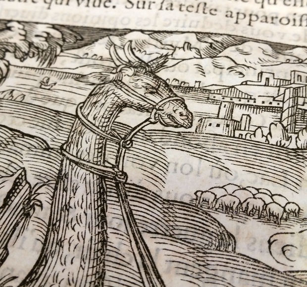 Wood-Cut The wood-cut is one of the oldest and most rudimentary methods of printing. It is a form of relief...