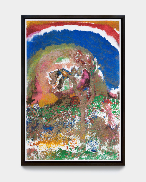 Matthew Brandt, Joshua Tree VC1B, 2023