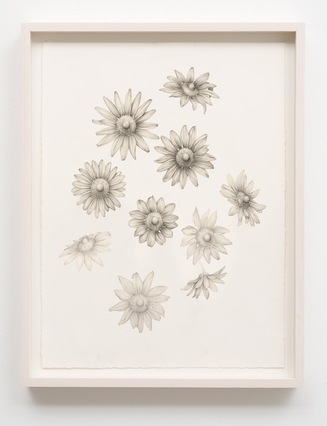 Aurel Schmidt, Untitled (Nipple Flowers), 2014