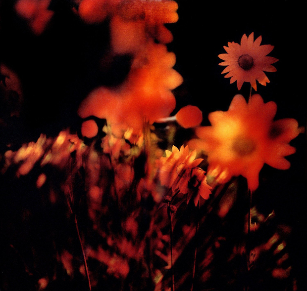 Lisa Eisner, Psycho Mule, 2010