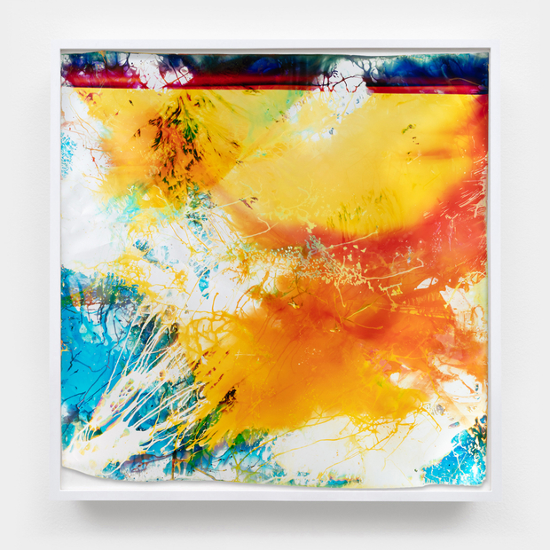 Mariah Robertson, 002, 2024