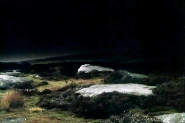 Mores McWreath, Everything That's Interesting, 2010