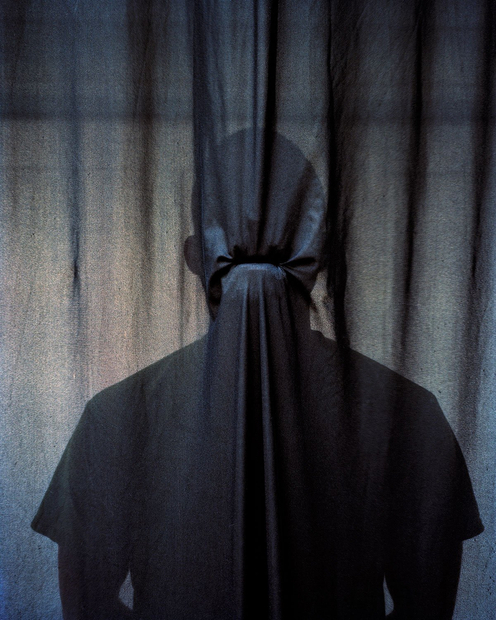 Anthony Lepore, Swallow, 2013