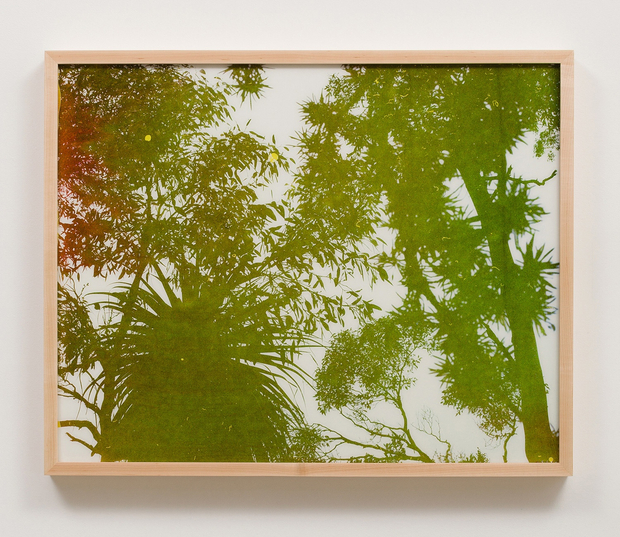 Matthew Porter, Ektar, 2013