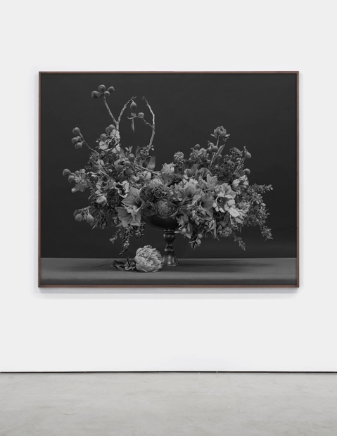 Jessica Eaton, MF 08 v01, 2014-2022