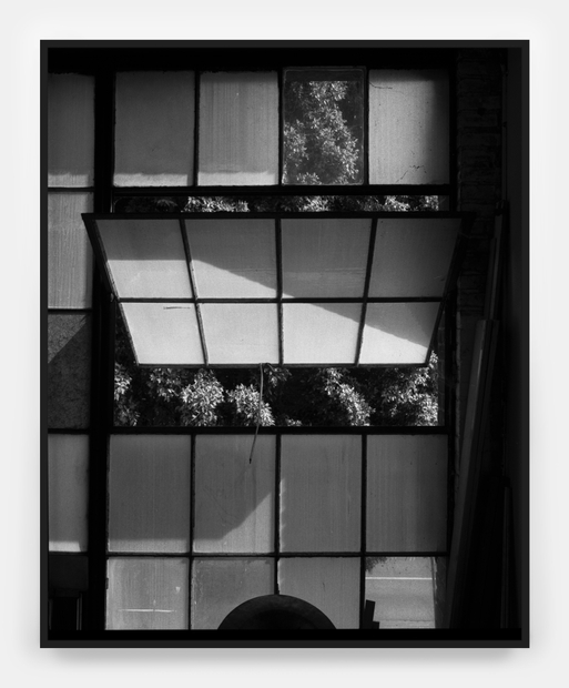 Whitney Hubbs, Division II, 2014