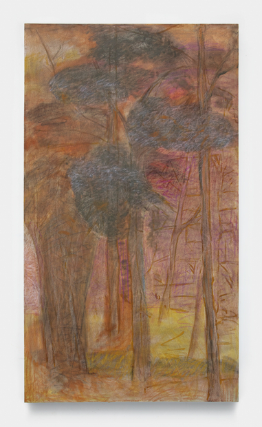 Eric Dwight Hancock, Reluctant Companion, 2024