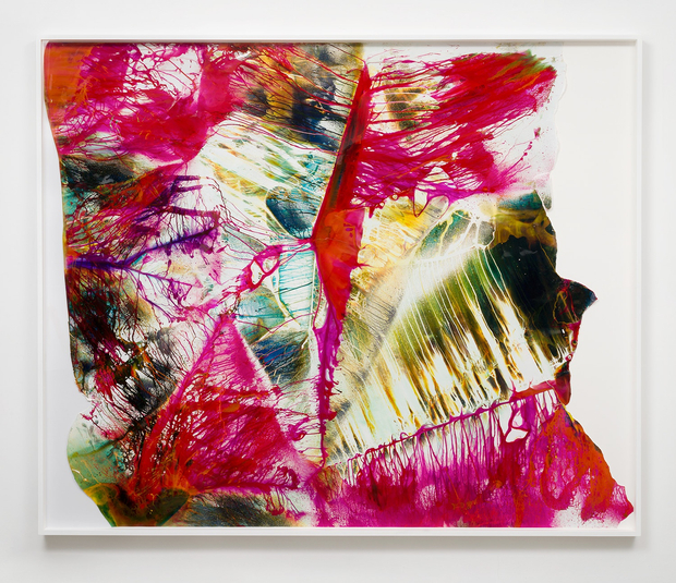 Mariah Robertson, 267, 2014