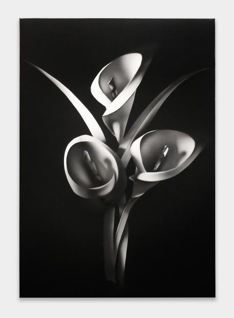 Kara Joslyn, The one-armed man comes into the flower shop and says: What flower expresses 'days go by— and they just keep going by, endlessly pulling you into the future?' And the florist says: White Lily, 2022