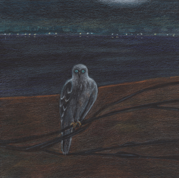 Elizabeth Shull, Queen's Necklace, 2020