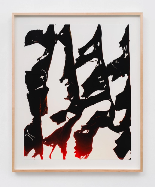 Matthew Porter, Sunclipse, 2016