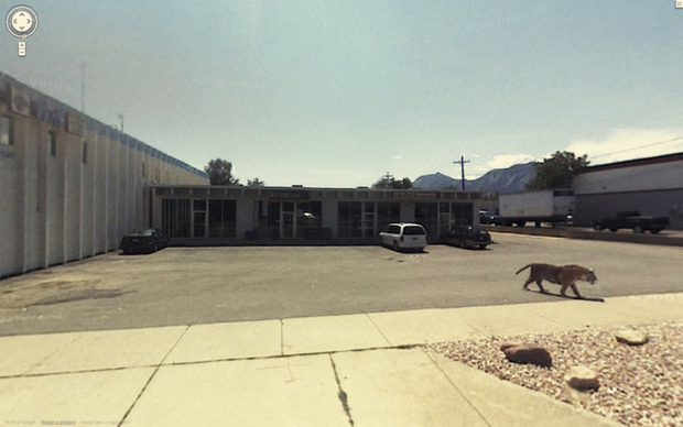 Jon Rafman, 3081 Valmont Road, Boulder, Colorado, United States, 2012