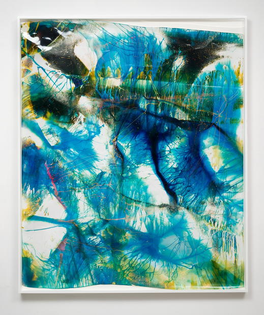 Mariah Robertson, 365, 2014