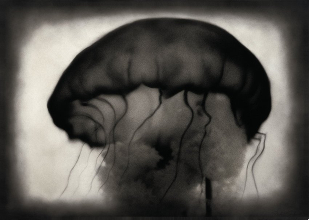 Rocky Schenck, Jellyfish, 2000