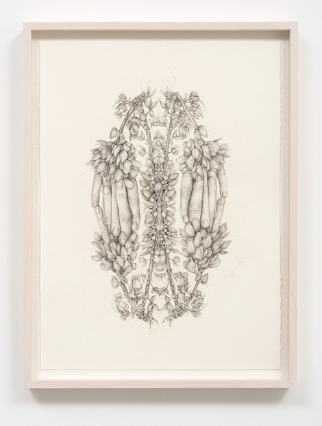 Aurel Schmidt, Untitled (Rorschach Flowers 1), 2014