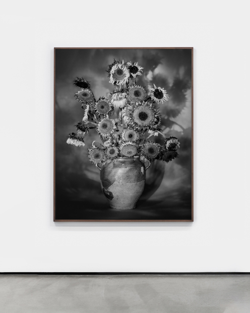 Jessica Eaton, MF 22 v01, 2022