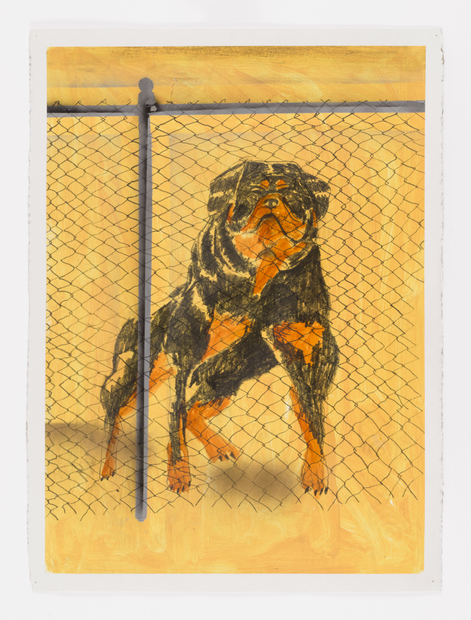 Pat Phillips, Untitled (Rottweiler), 2019