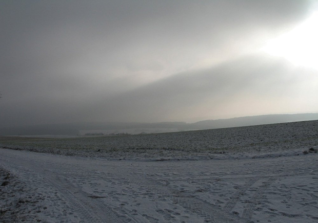 Thomas Struth, Odenwald, 2006