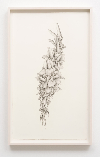 Aurel Schmidt, Untitled (Gladiolas), 2014