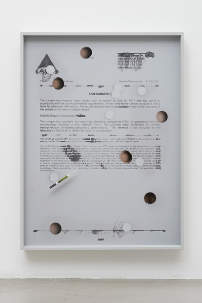 Jesse Stecklow, Untitled (Case Narrative), 2014