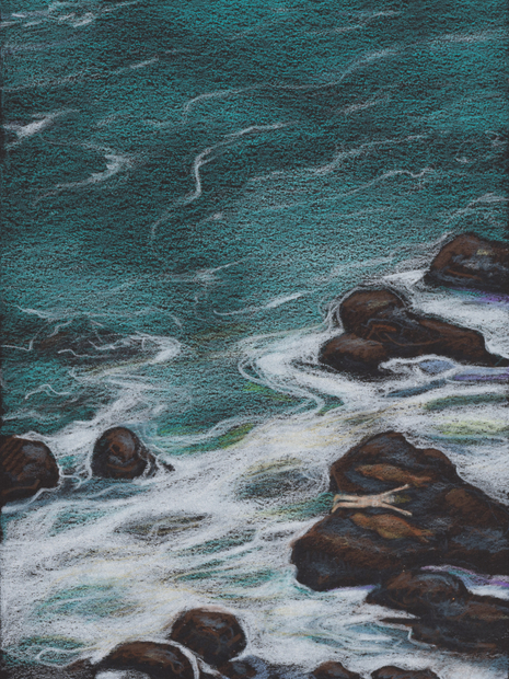 Elizabeth Shull, Tidepooling, 2020