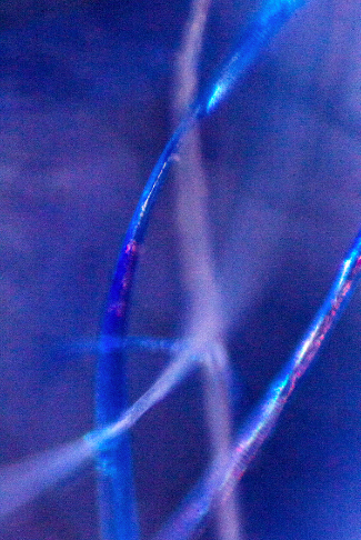 Mariana Parisca, Contents of Miami Bag 12/05/22 (Marni), 2022