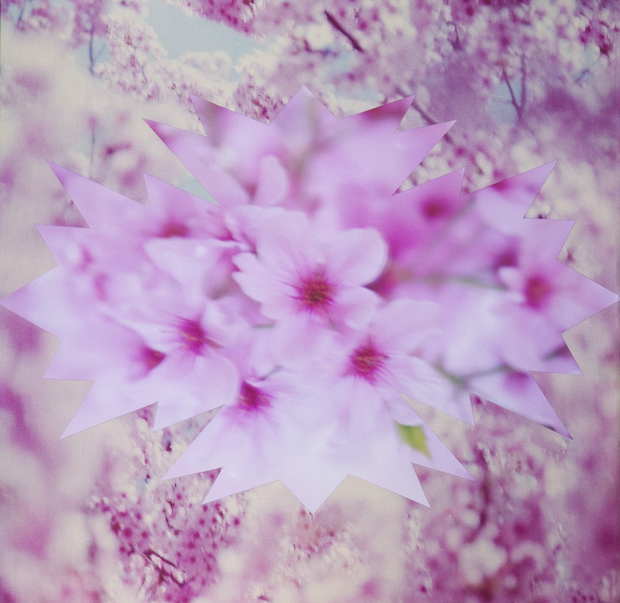 Lisa Eisner, Pink Cherry Blossom Bird, 2010