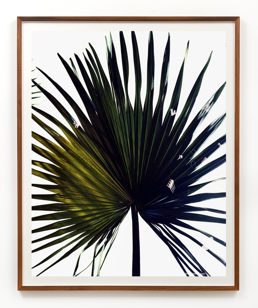 Matthew Porter, Salton Sea, 2015