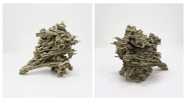 Dwyer Kilcollin, Emergent Object: Bouquet I, 2014