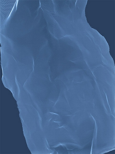 James Welling, Torso 22, 2005-2008