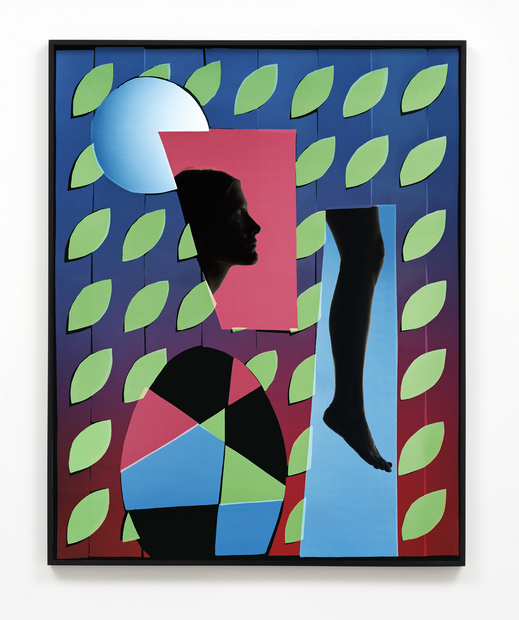 Hannah Whitaker, Dangle 1, 2017