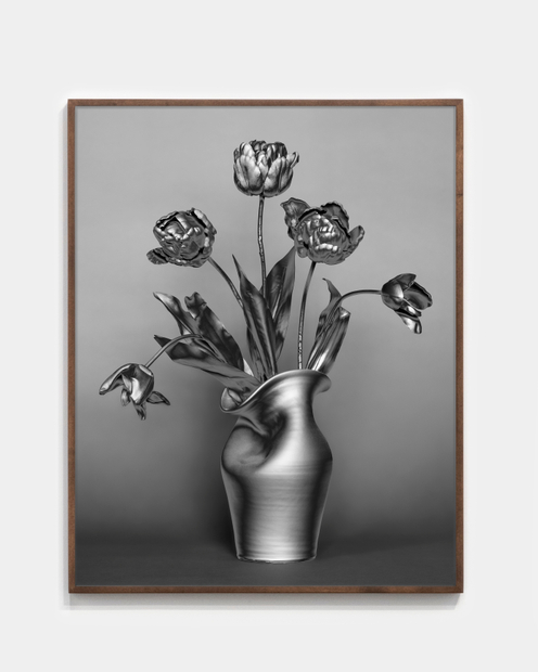 Jessica Eaton, MLL 02 v03, 2022