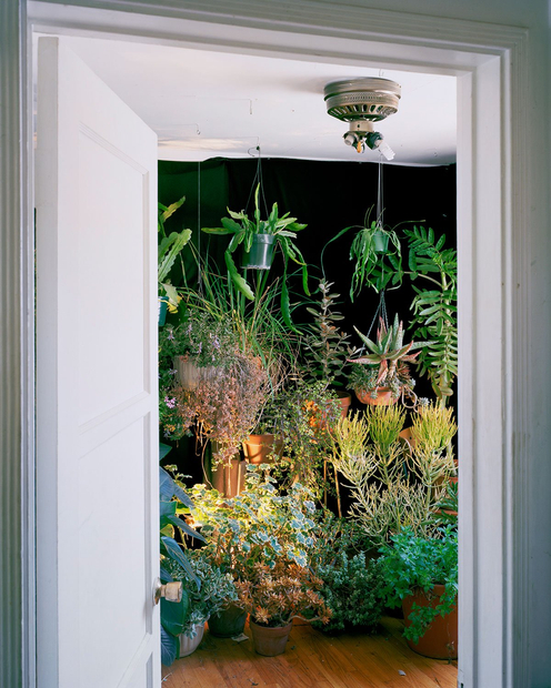 Anthony Lepore, House Party, 2013