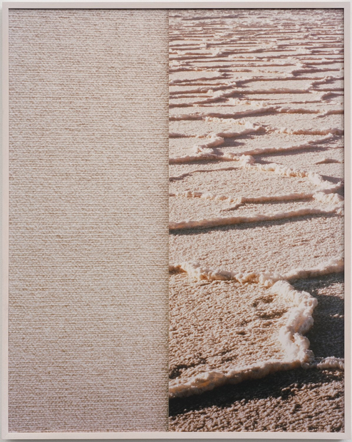 Anthony Lepore, Salt Carpet, 2010