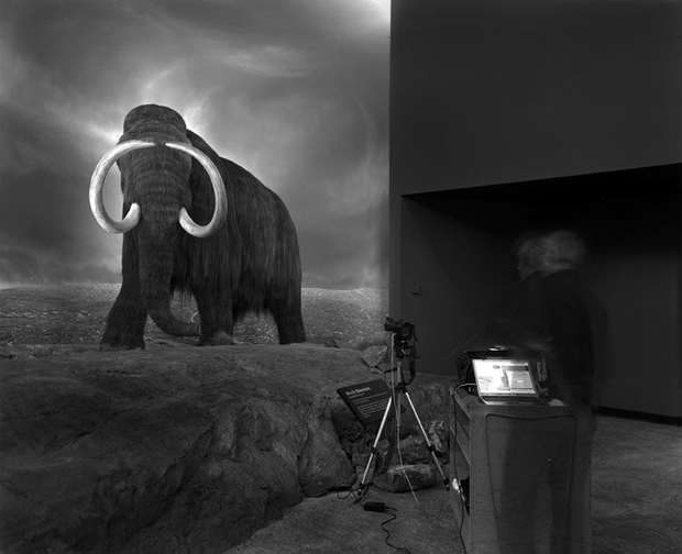 Matthew Pillsbury, Photographing the Mammoth, Royal British Columbia Museum, Canada, Monday October 17th, 2005, 2005