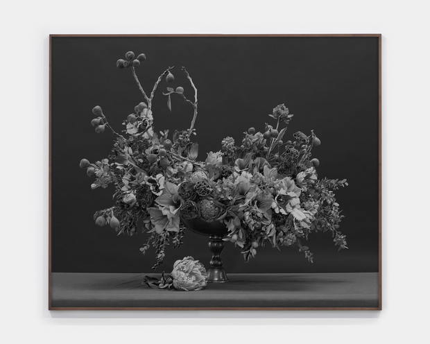 Jessica Eaton, MF 08 v01, 2014-2022