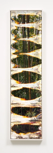 Matthew Brandt, Wai'anae 79181, 2015