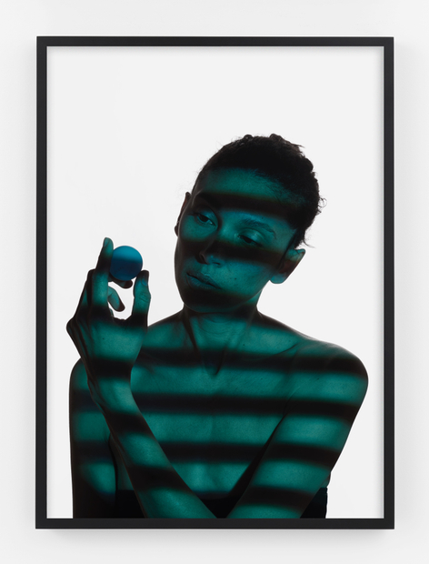 Hannah Whitaker, Examine, 2019