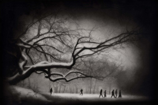 Rocky Schenck, Promenade, 2003