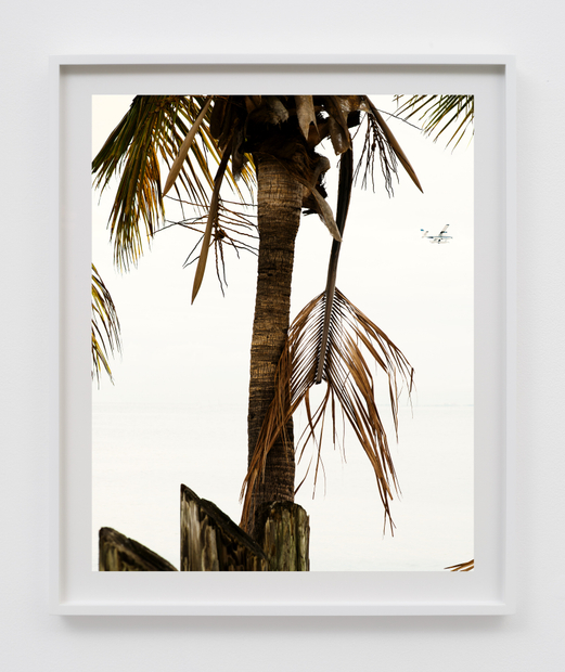 Matthew Porter, Harbor, 2018