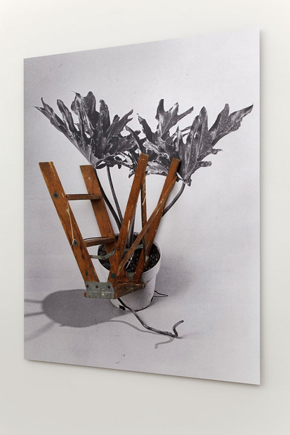 Marlo Pascual, Untitled, 2013