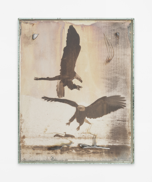 Matthew Brandt, Eagles 79B, 2017-2019