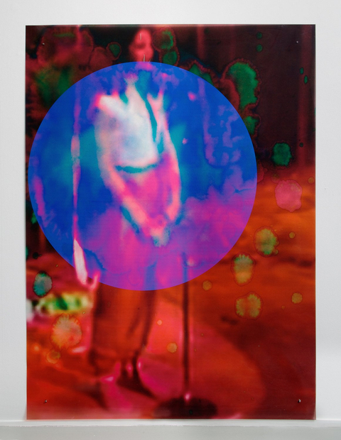 Sara Greenberger Rafferty, Fig (Body Type O), 2012