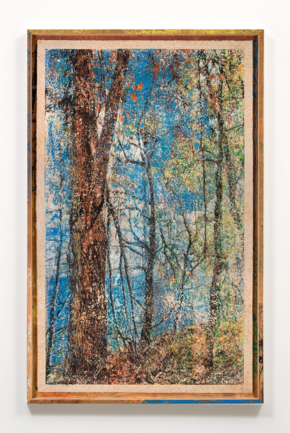 Matthew Brandt, Woodblock, Hudson River 1B, 2015