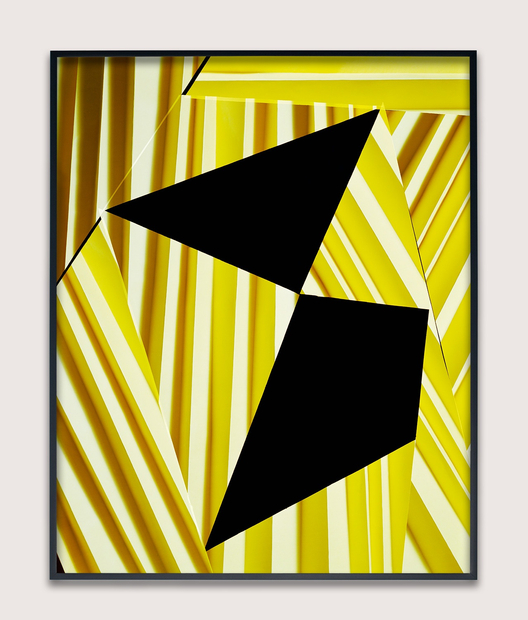 Hannah Whitaker, Fan Screen (Neutral), 2015